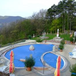 Silvanus Wellness & Konferencia Hotel, Visegrád - Medence/kert