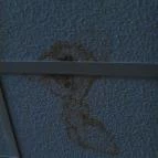 Hotel Óbester Debrecen - Egyéb