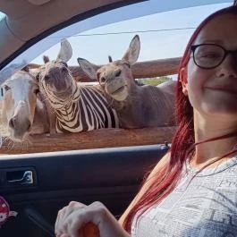 Richter Safari Park Nagykőrös - Egyéb