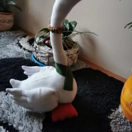 Hotel Európa Gunaras, Dombóvár - Egyéb