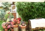 Kemencés Vendéglő Balatonboglár Balatonboglár