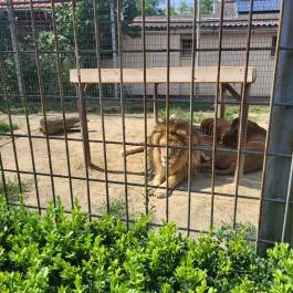 Gyöngyösi Állatkert Gyöngyös - Egyéb