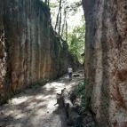 Megyer-hegyi Tengerszem Természetvédelmi Terület Sárospatak - Egyéb