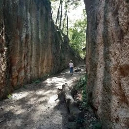 Megyer-hegyi Tengerszem Természetvédelmi Terület, Sárospatak - Egyéb