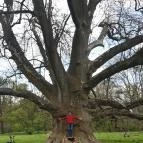 Mjus Resort & Thermal Park Körmend - Környék