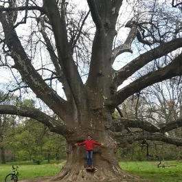 Mjus Resort & Thermal Park, Körmend - Környék
