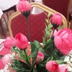 Hotel Magistern Konferencia & Wellness Siófok - Egyéb