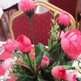 Hotel Magistern Konferencia & Wellness Siófok - Egyéb