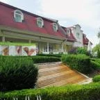 Hotel Kiss Tata - Medence/kert