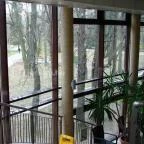 Wellness Hotel Gyula Gyula - Környék