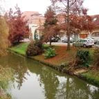 Wellness Hotel Gyula Gyula - Környék