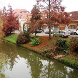 Wellness Hotel Gyula, Gyula - Környék