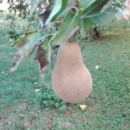 Hotel Piroska, Bük, Bükfürd? - Egyéb