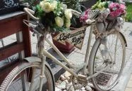 Regina Kávéház & Étterem Zalakaros