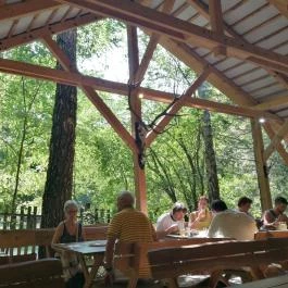 Ördögmalom Erdei Étterem, Visegrád - Egyéb