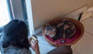 Cat Café - Révay utca, Budapest