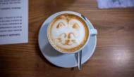 Cat Café - Révay utca, Budapest