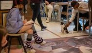 Cat Café - Révay utca, Budapest