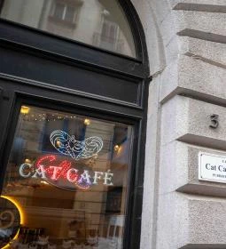Cat Café - Révay utca