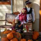 Főnix Wellness Resort Nógrádgárdony - Egyéb