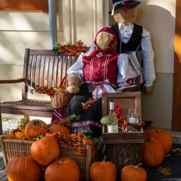 Főnix Wellness Resort Nógrádgárdony - Egyéb