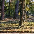 Főnix Wellness Resort Nógrádgárdony - Egyéb