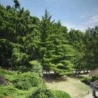 Hotel Kardosfa Zselickisfalud - Egyéb