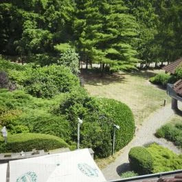 Hotel Kardosfa Zselickisfalud - Egyéb