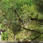 Hotel Vécsecity Hernádvécse - Medence/kert