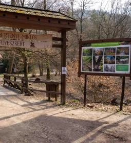 13. legjobb látnivaló: Bertényi Miklós Füvészkert