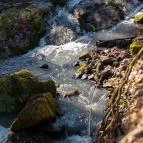 Ördögmalom-vízesés Visegrád - Egyéb