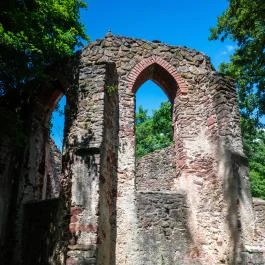 Pálos Kolostorrom, Salföld - Egyéb