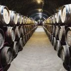 Thummerer Pincészet Noszvaj - Egyéb