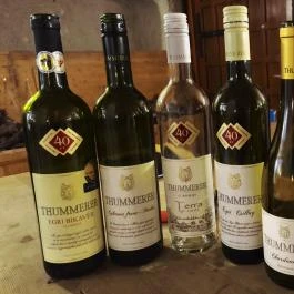 Thummerer Pincészet Noszvaj - Egyéb