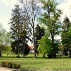 Batthyány Kastélyszálló Zalacsány - Medence/kert