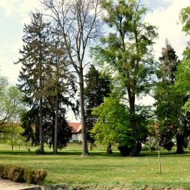 Batthyány Kastélyszálló Zalacsány - Medence/kert