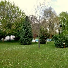 Batthyány Kastélyszálló Zalacsány - Medence/kert