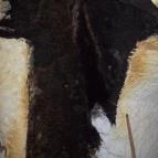 Sáfrány Kert és Egerszalóki Barlanglakások Egerszalók - 