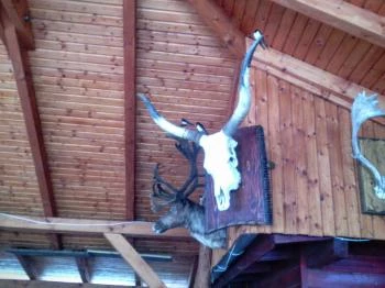 Fatálas Étterem Veresegyház