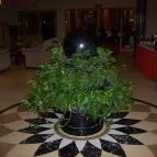 Colosseum Wellness Hotel Mórahalom - Belső