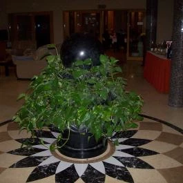 Colosseum Wellness Hotel, Mórahalom - Belső