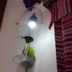 Molnár Csárda Lillafüred - Belső