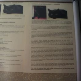 Caramell Premium Resort, Bük, Bükfürd? - Egyéb