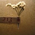 Caramell Premium Resort Bük, Bükfürd? - Belső