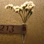 Caramell Premium Resort Bük, Bükfürd? - Belső