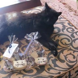 Caramell Premium Resort, Bük, Bükfürd? - Egyéb