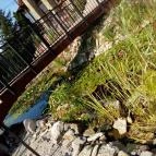 Hévíz Resort & Spa Cserszegtomaj - Környék