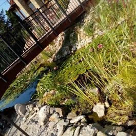 Hévíz Resort & Spa Cserszegtomaj - Környék