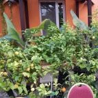 Bagolyvár Inárcs Inárcs - Külső kép