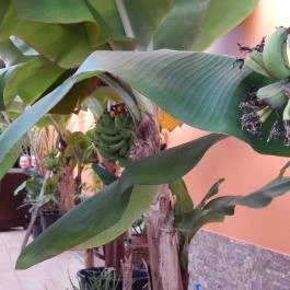 Bagolyvár Inárcs Inárcs - Külső kép